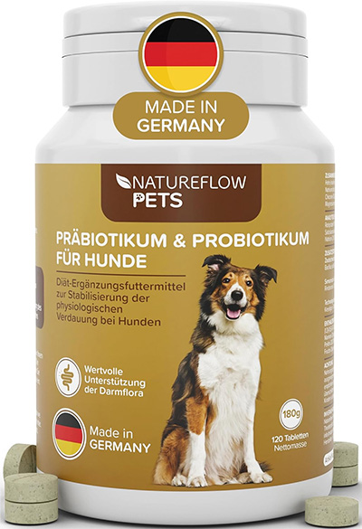 Präbiotikum & Probiotikum für Hunde - Pupsen bei Französischen Bulldoggen – Ursachen & Hilfe