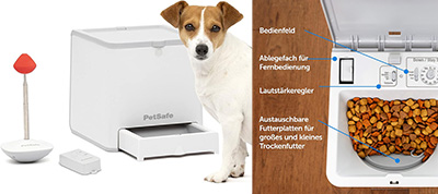 Französische Bulldogge alleine lassen? Automatischer Futterspender