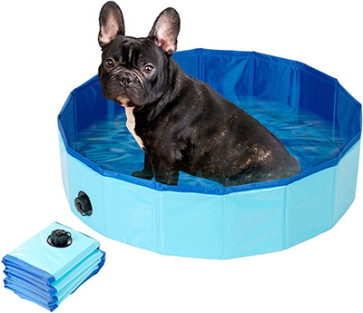 Französische Bulldogge & Hitze - Hunde Planschbecken