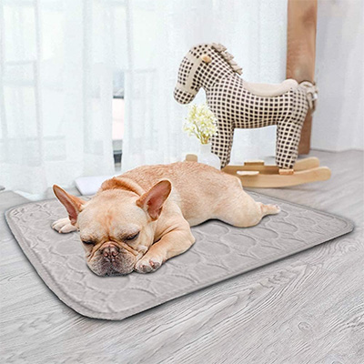 Französische Bulldogge & Hitze - Selbstkühlende Hundematte