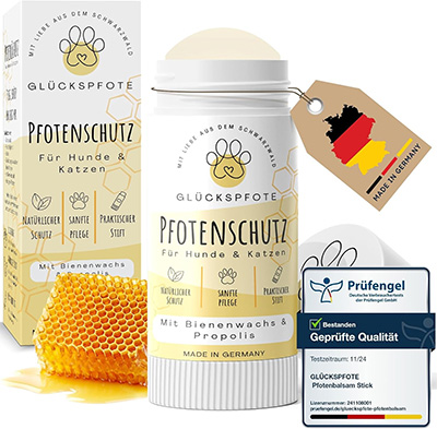 Frenchie Starterkit: Was du wirklich brauchst