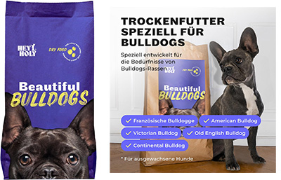 Frenchie Erstausstattung: Was du wirklich brauchst